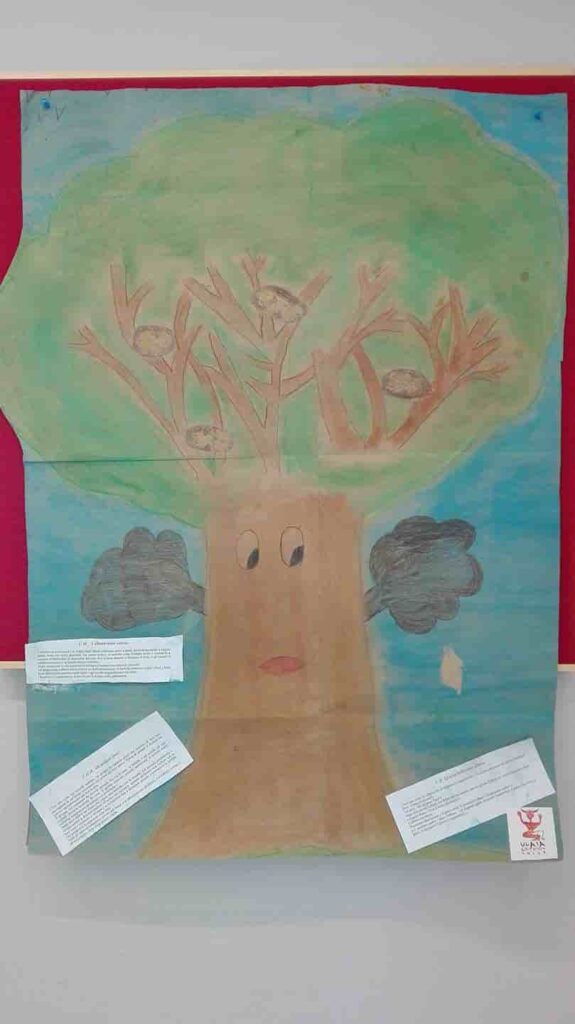 Albero IV 4 _o